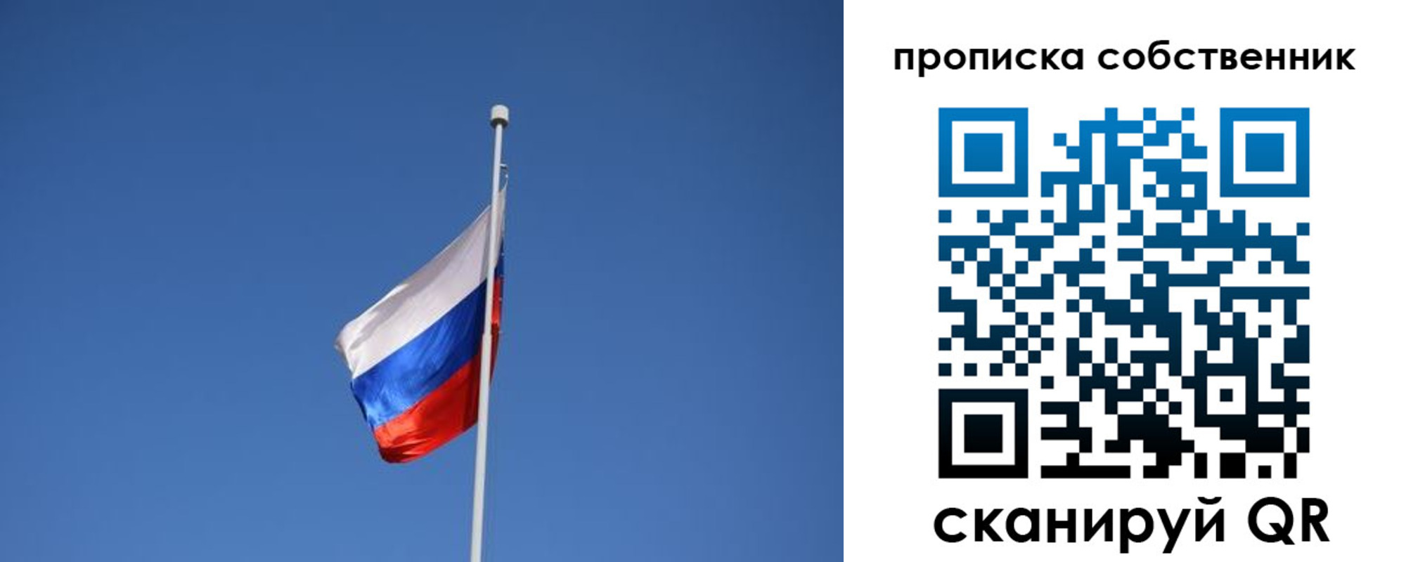 временная регистрация для всех в Светлогорске